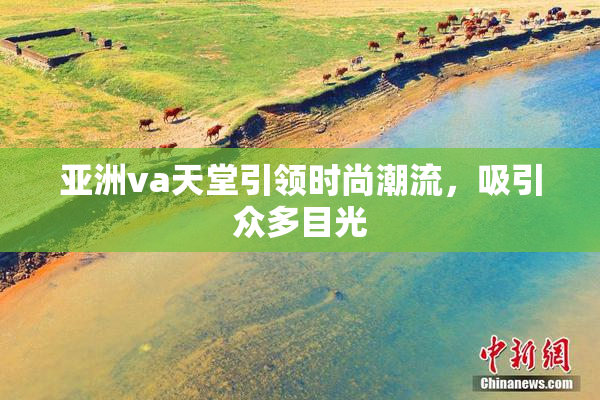 亚洲va天堂引领时尚潮流，吸引众多目光