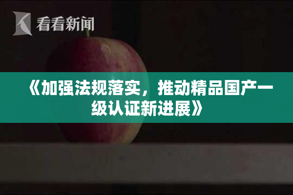 《加强法规落实，推动精品国产一级认证新进展》