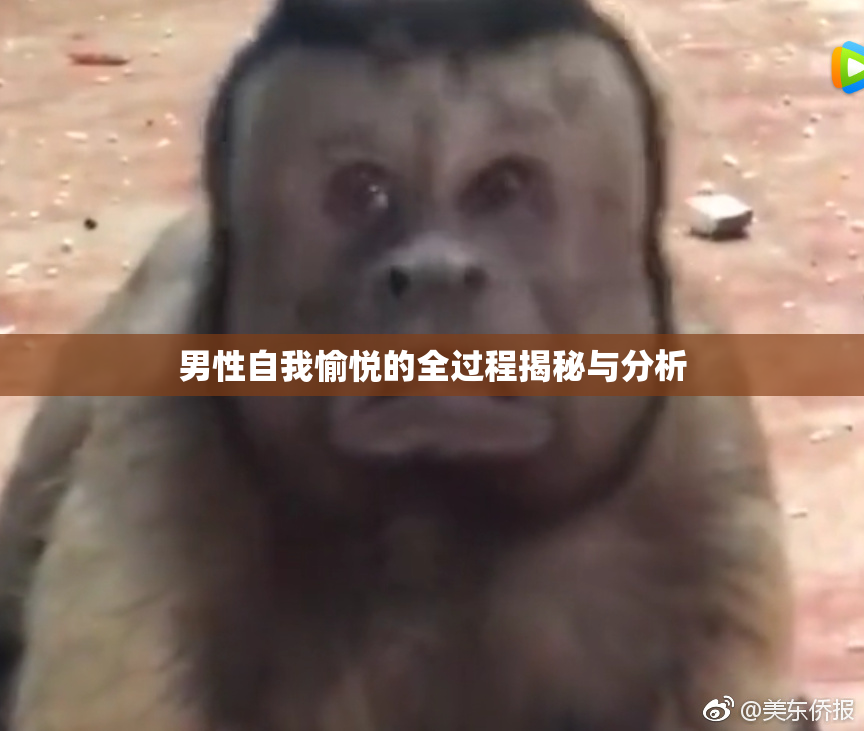 男性自我愉悦的全过程揭秘与分析