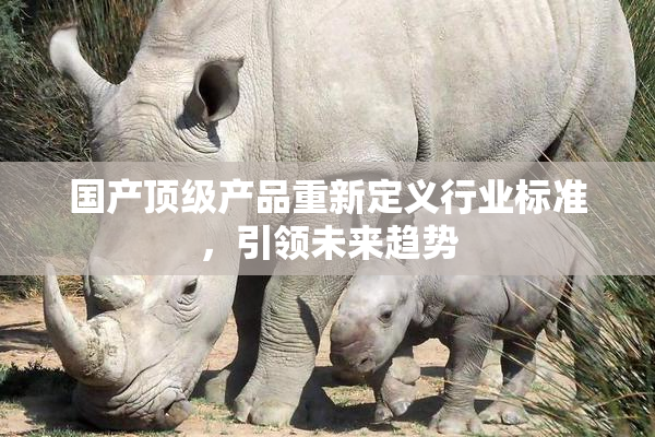 国产顶级产品重新定义行业标准，引领未来趋势
