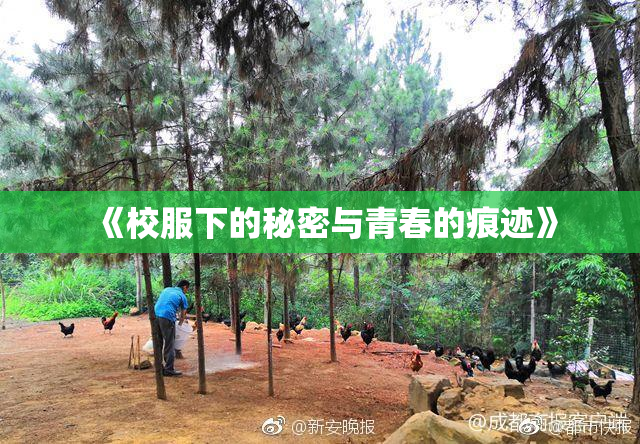 《校服下的秘密与青春的痕迹》
