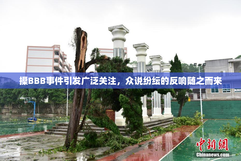 搡BBB事件引发广泛关注，众说纷纭的反响随之而来