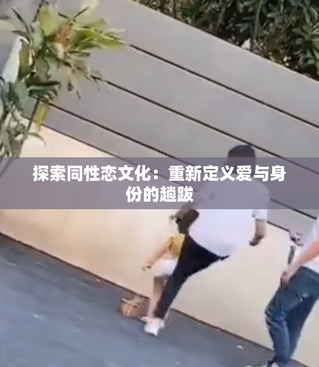 探索同性恋文化：重新定义爱与身份的趟跋