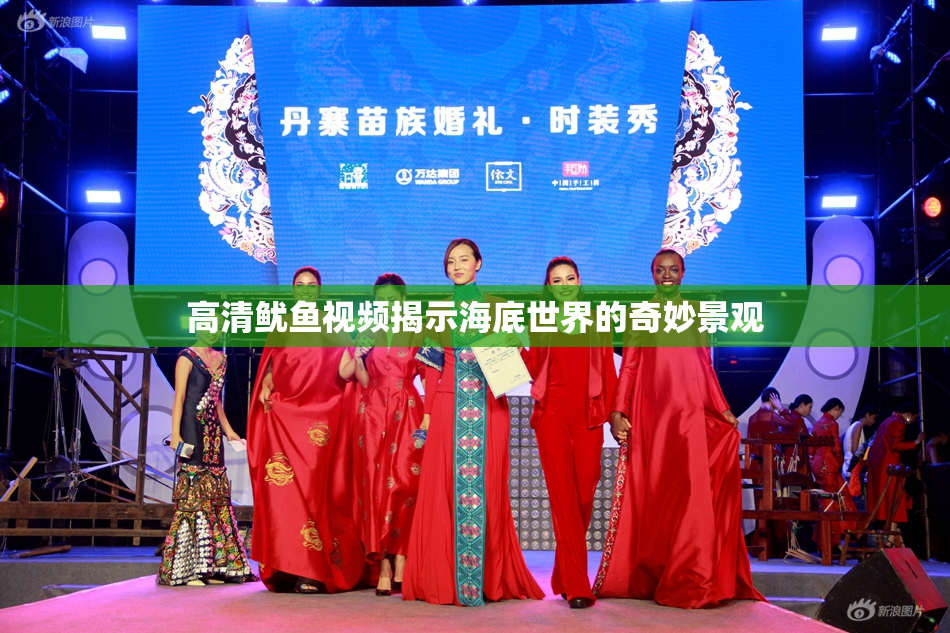 高清鱿鱼视频揭示海底世界的奇妙景观