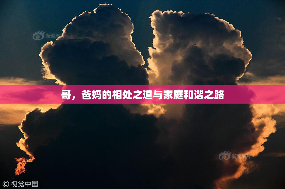 哥，爸妈的相处之道与家庭和谐之路