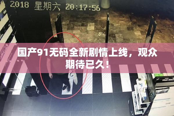 国产91无码全新剧情上线，观众期待已久！