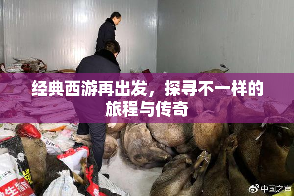 经典西游再出发，探寻不一样的旅程与传奇