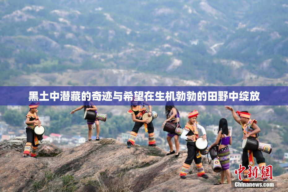 黑土中潜藏的奇迹与希望在生机勃勃的田野中绽放