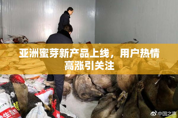 亚洲蜜芽新产品上线，用户热情高涨引关注