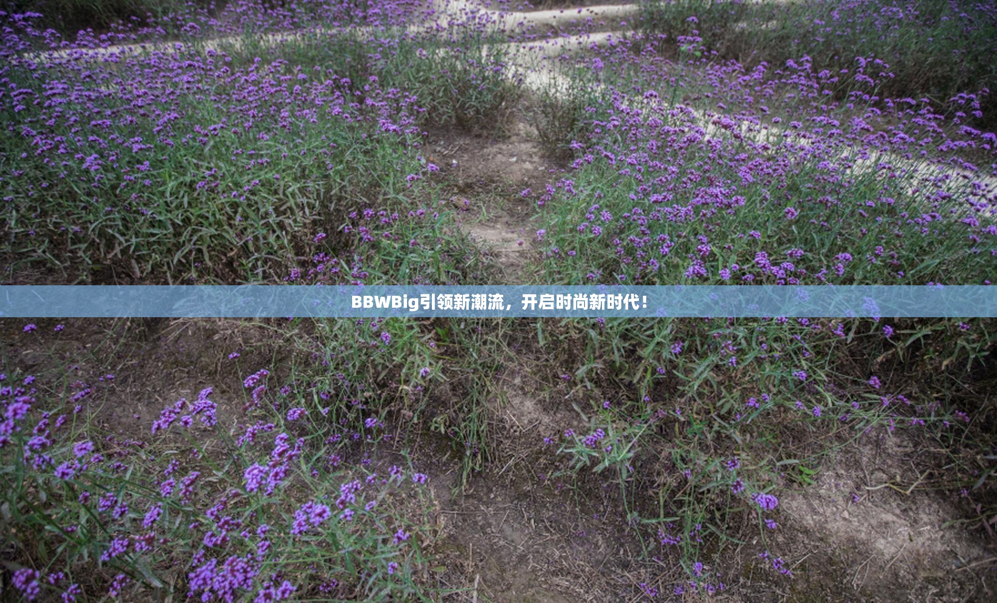 BBWBig引领新潮流，开启时尚新时代！