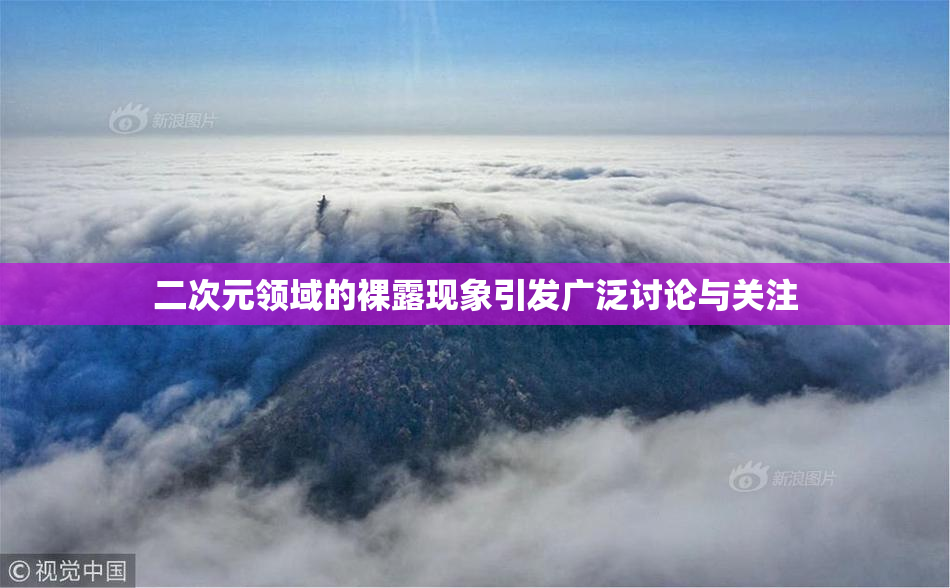 二次元领域的裸露现象引发广泛讨论与关注