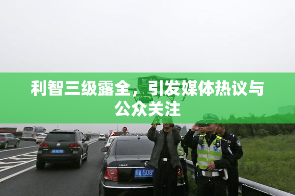 利智三级露全，引发媒体热议与公众关注