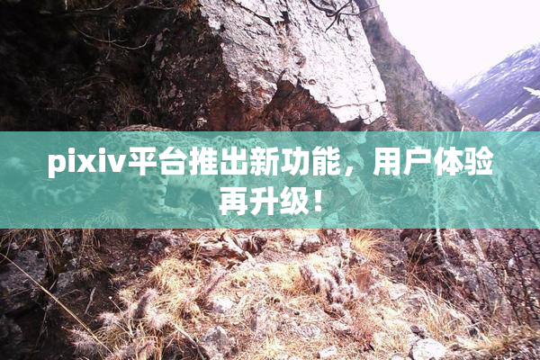 pixiv平台推出新功能，用户体验再升级！