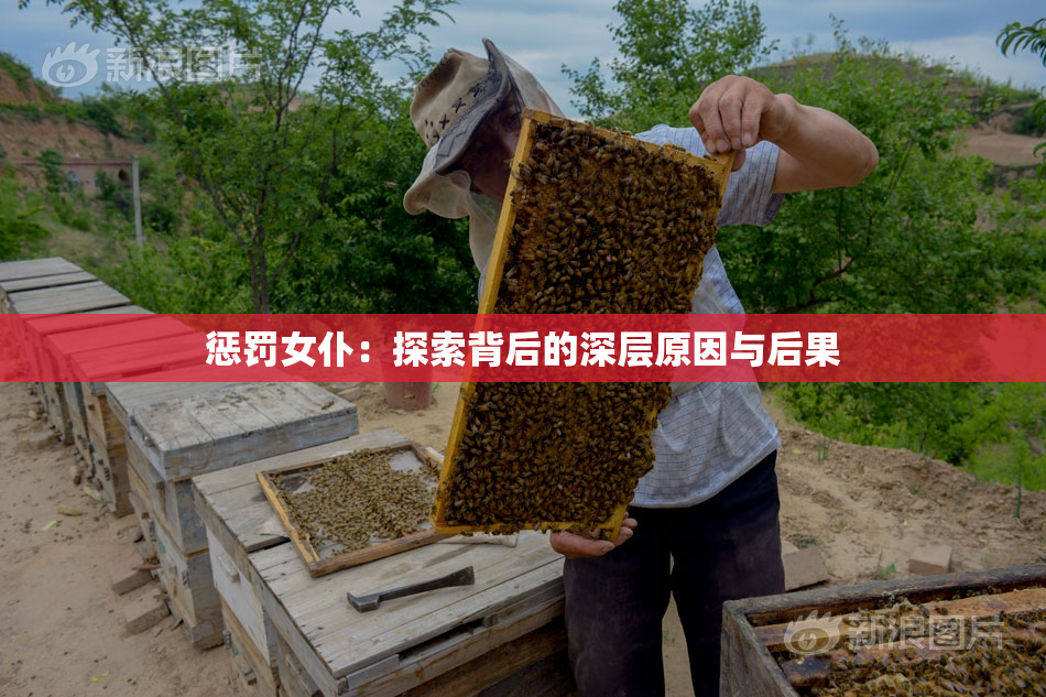惩罚女仆：探索背后的深层原因与后果