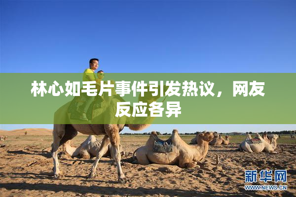 林心如毛片事件引发热议，网友反应各异