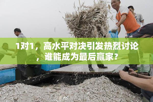1对1，高水平对决引发热烈讨论，谁能成为最后赢家？