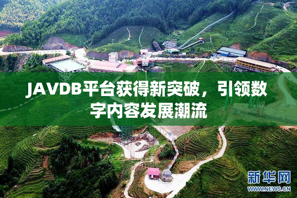 JAVDB平台获得新突破，引领数字内容发展潮流