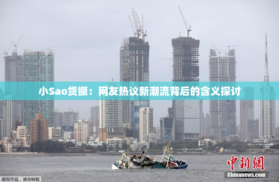 小Sao货撅：网友热议新潮流背后的含义探讨