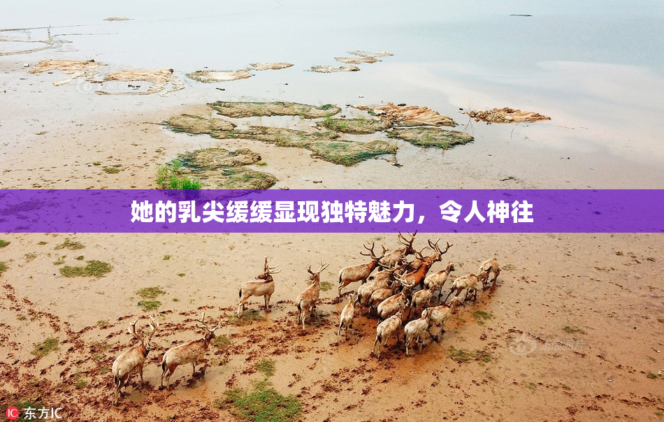 她的乳尖缓缓显现独特魅力，令人神往