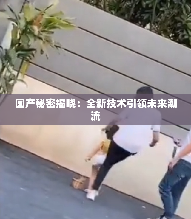 国产秘密揭晓：全新技术引领未来潮流