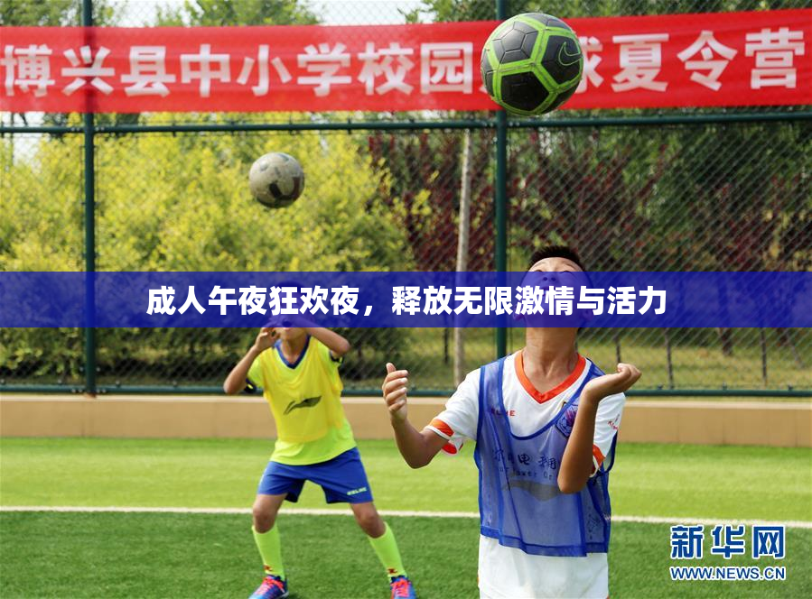 成人午夜狂欢夜，释放无限激情与活力