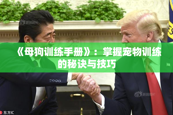 《母狗训练手册》：掌握宠物训练的秘诀与技巧