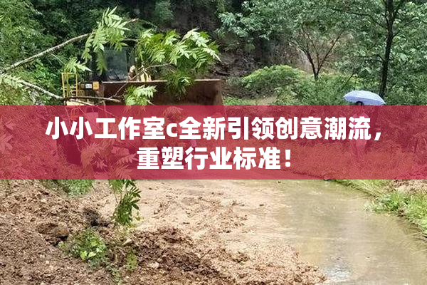 小小工作室c全新引领创意潮流，重塑行业标准！