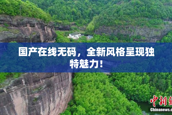 国产在线无码，全新风格呈现独特魅力！