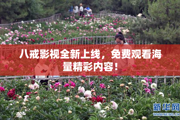 八戒影视全新上线，免费观看海量精彩内容！