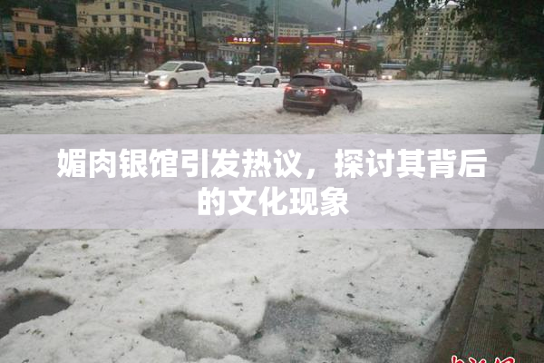 媚肉银馆引发热议，探讨其背后的文化现象