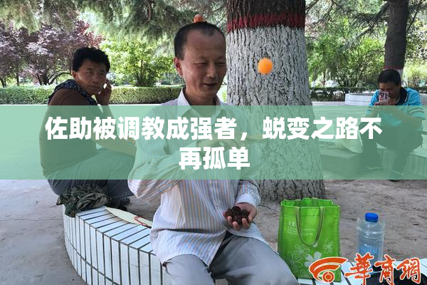 佐助被调教成强者，蜕变之路不再孤单