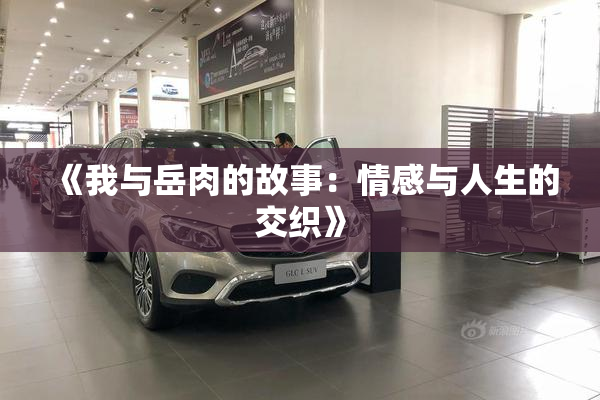 《我与岳肉的故事：情感与人生的交织》