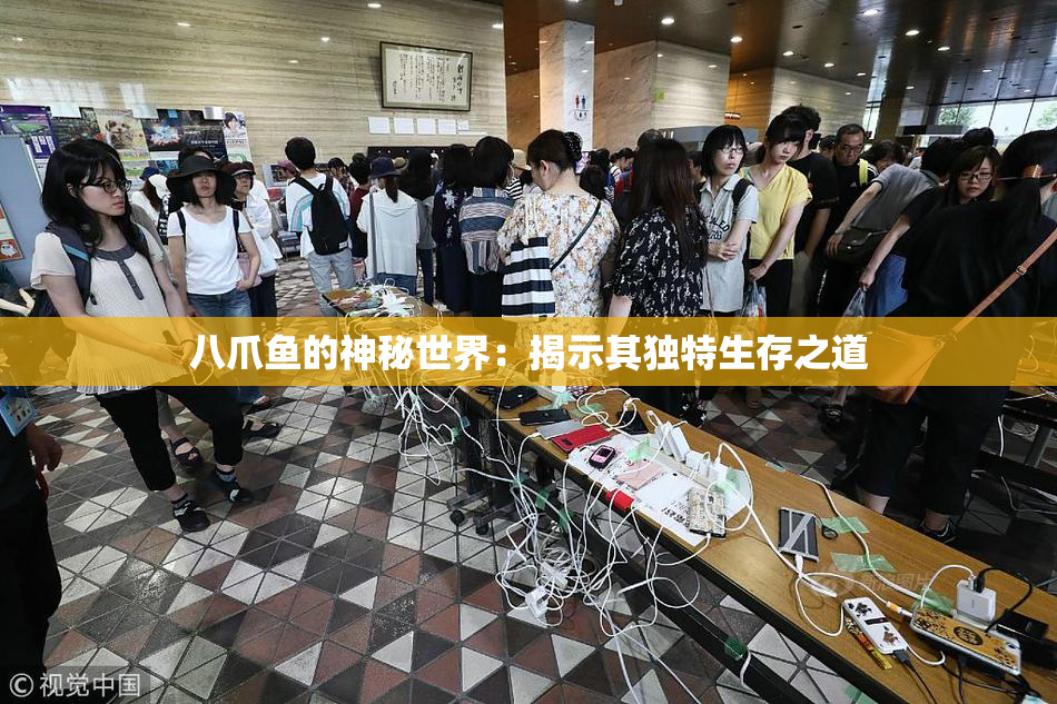 八爪鱼的神秘世界：揭示其独特生存之道