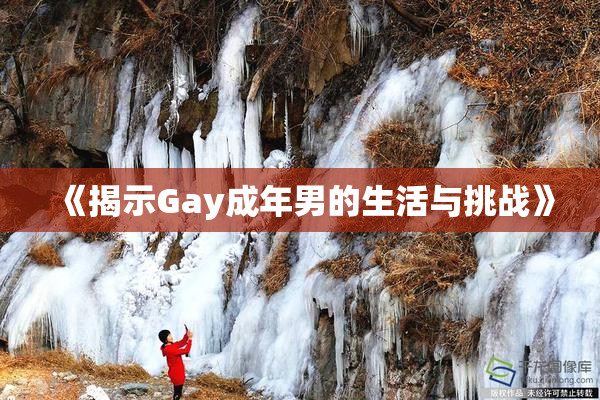 《揭示Gay成年男的生活与挑战》