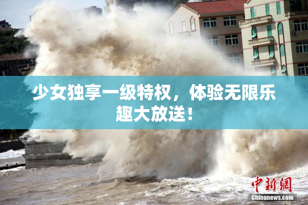 少女独享一级特权，体验无限乐趣大放送！