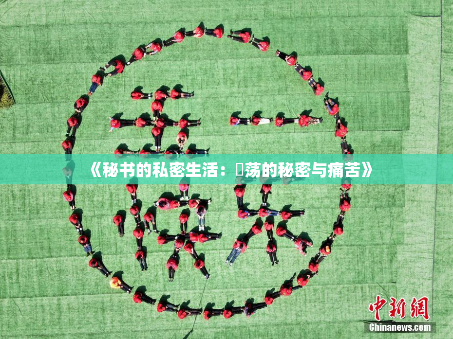 《秘书的私密生活：婬荡的秘密与痛苦》