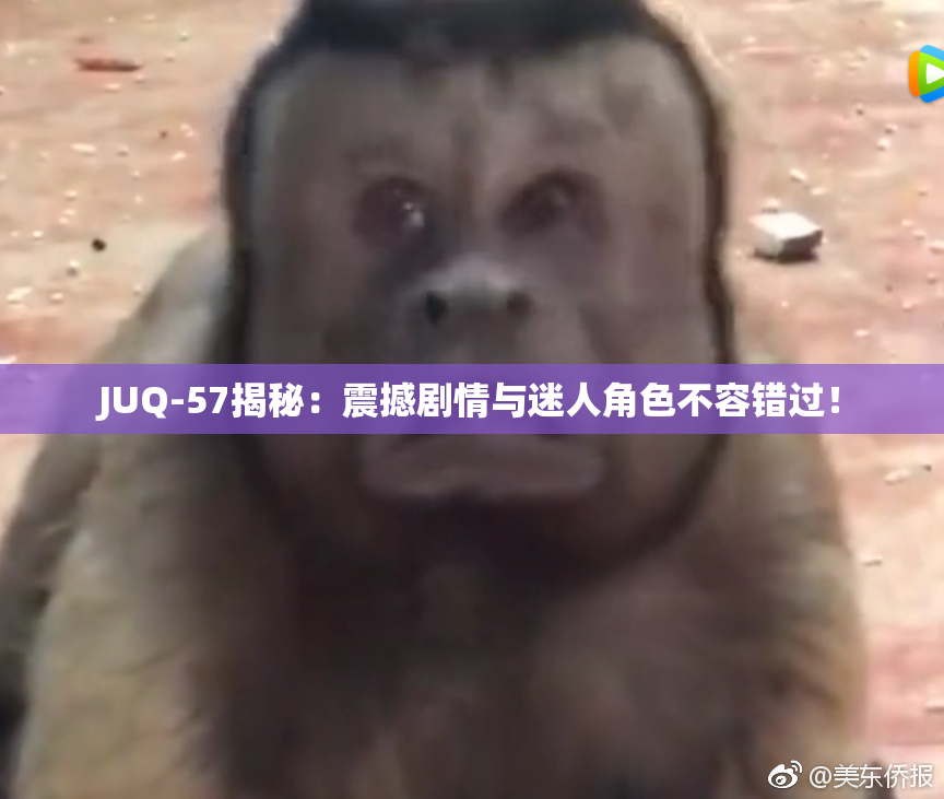 JUQ-57揭秘：震撼剧情与迷人角色不容错过！