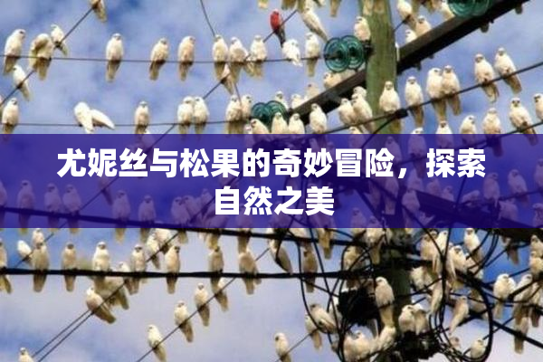 尤妮丝与松果的奇妙冒险，探索自然之美