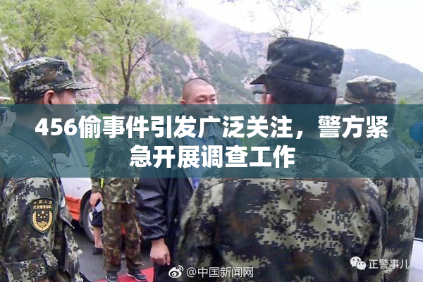 456偷事件引发广泛关注，警方紧急开展调查工作