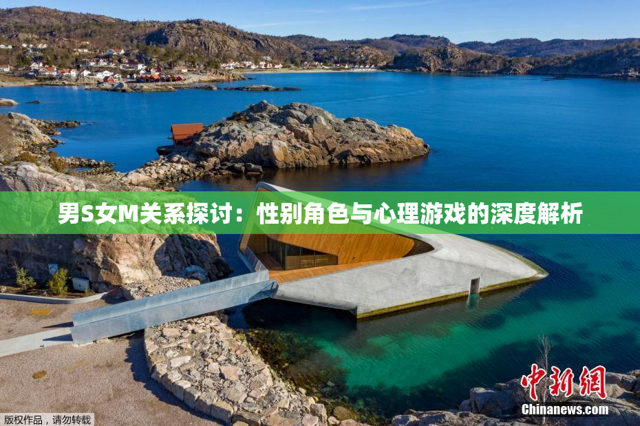 男S女M关系探讨：性别角色与心理游戏的深度解析