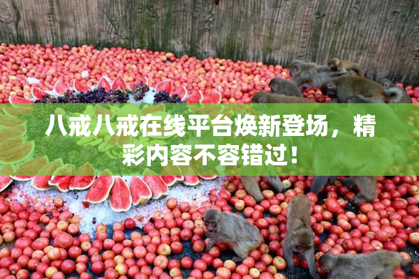 八戒八戒在线平台焕新登场，精彩内容不容错过！