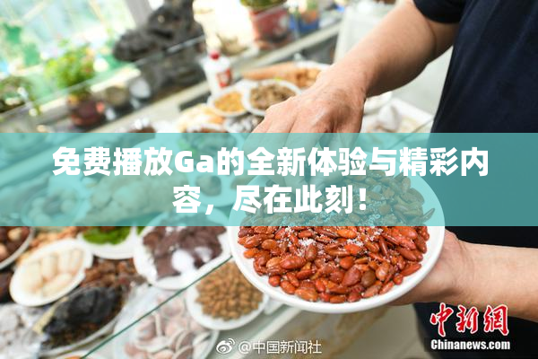 免费播放Ga的全新体验与精彩内容，尽在此刻！