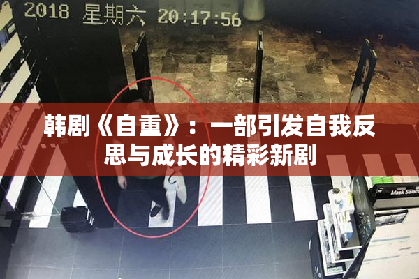 韩剧《自重》：一部引发自我反思与成长的精彩新剧