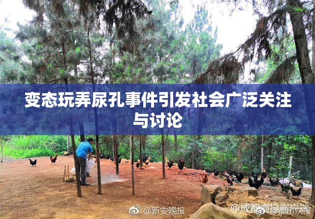变态玩弄尿孔事件引发社会广泛关注与讨论