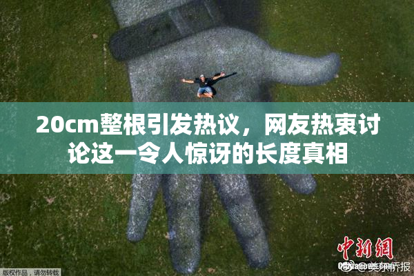 20cm整根引发热议，网友热衷讨论这一令人惊讶的长度真相