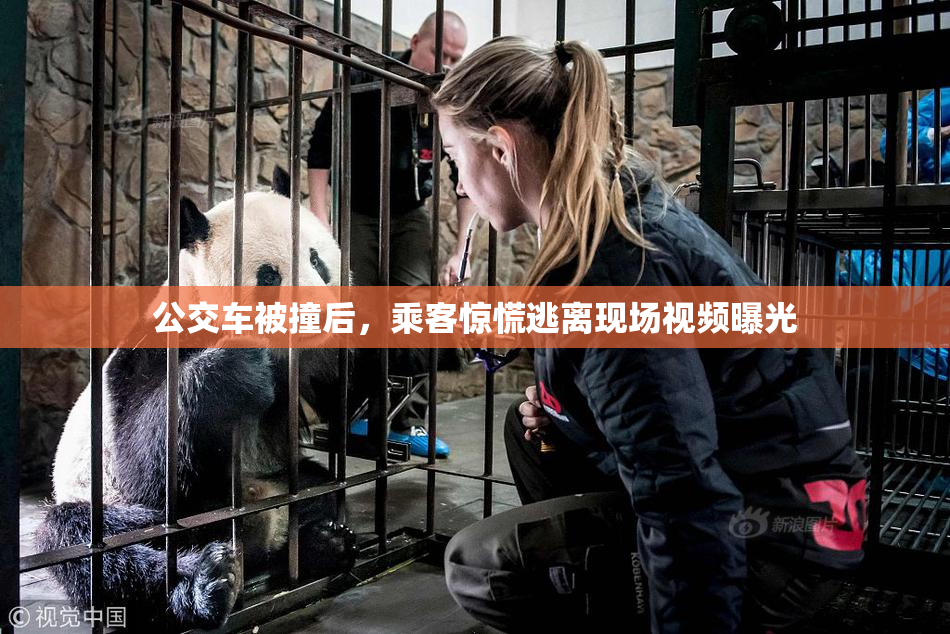 公交车被撞后，乘客惊慌逃离现场视频曝光
