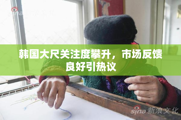 韩国大尺关注度攀升，市场反馈良好引热议