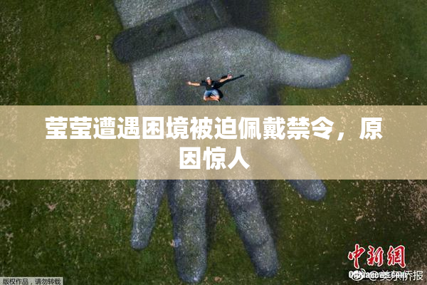 莹莹遭遇困境被迫佩戴禁令，原因惊人