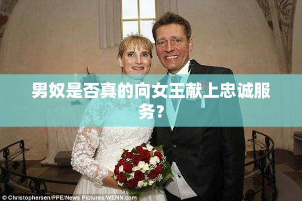 男奴是否真的向女王献上忠诚服务？