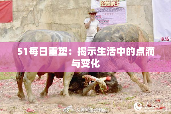 51每日重塑：揭示生活中的点滴与变化
